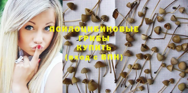 гидропоника Вязники
