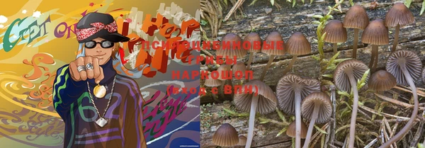 гидропоника Вязники