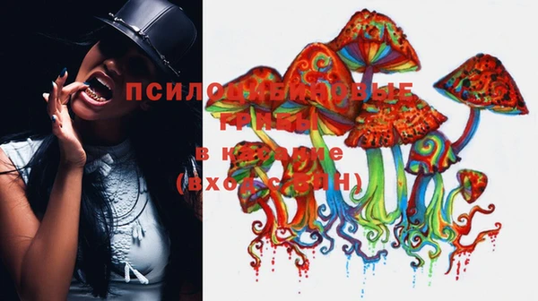 первитин Вяземский
